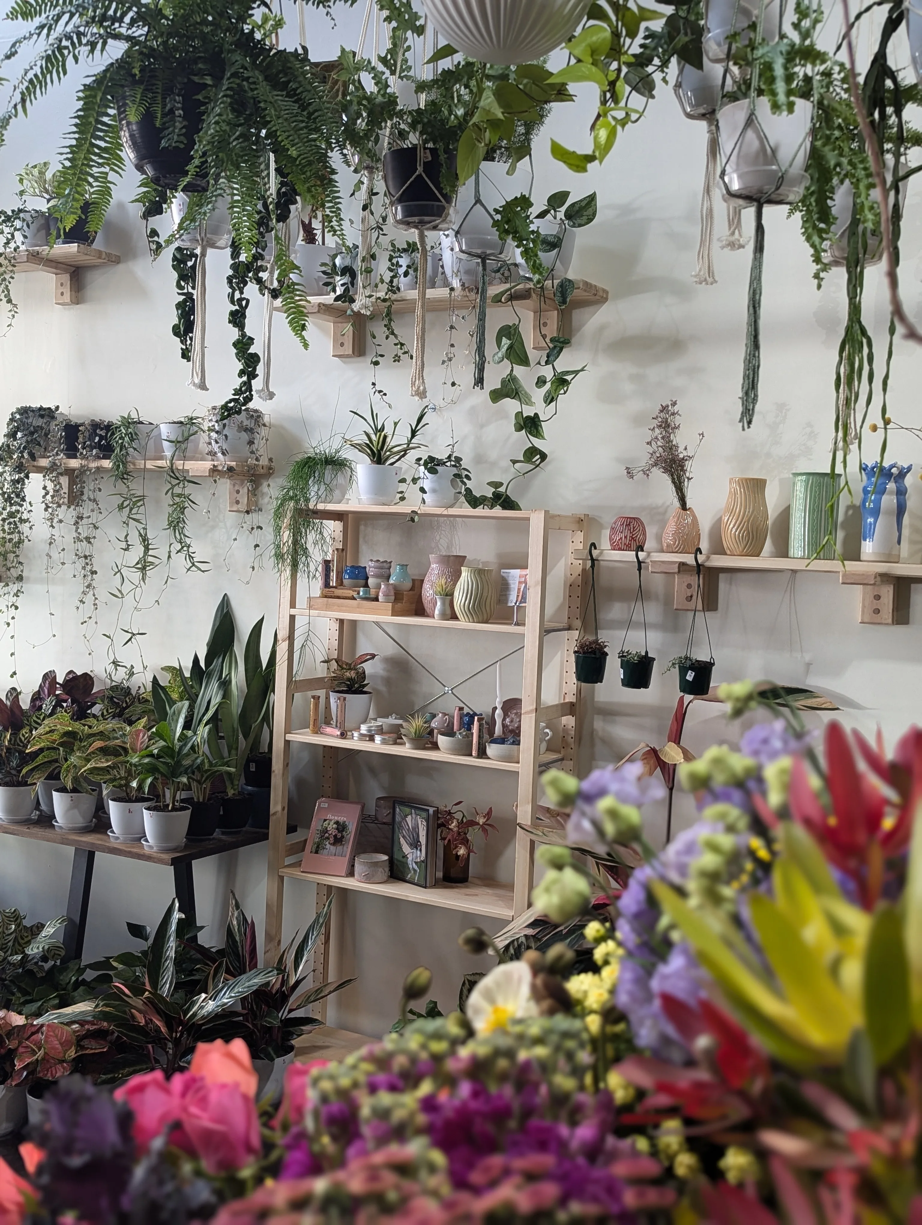 The interior of the Petal Pop shop with hanging plants and ceramic vases holding fresh cut flowers